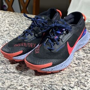 Nike Pegasus Trail 3 GORE-TEX Women’s 10